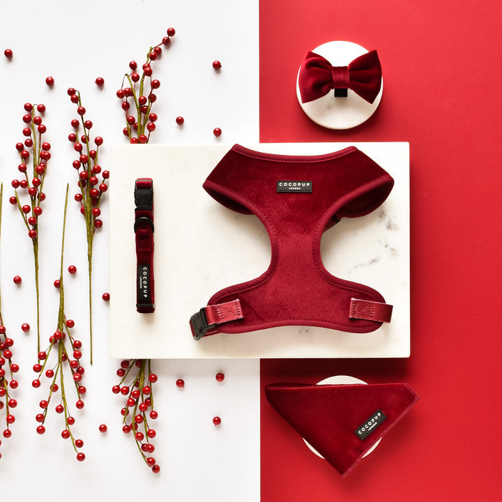 Luxe Velvet Bow Tie - Berry Red
