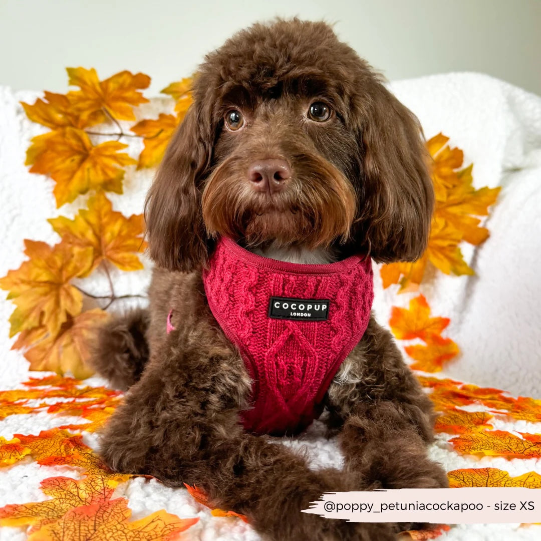 Cable Knit Adjustable Neck Harness - Mulled Pup Wine