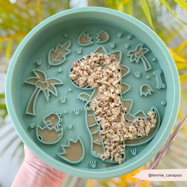 Silicone Slow Feed Dog Bowl - Dinopaws & Flowers