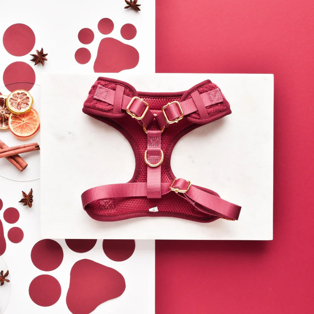 Cable Knit Adjustable Neck Harness - Mulled Pup Wine