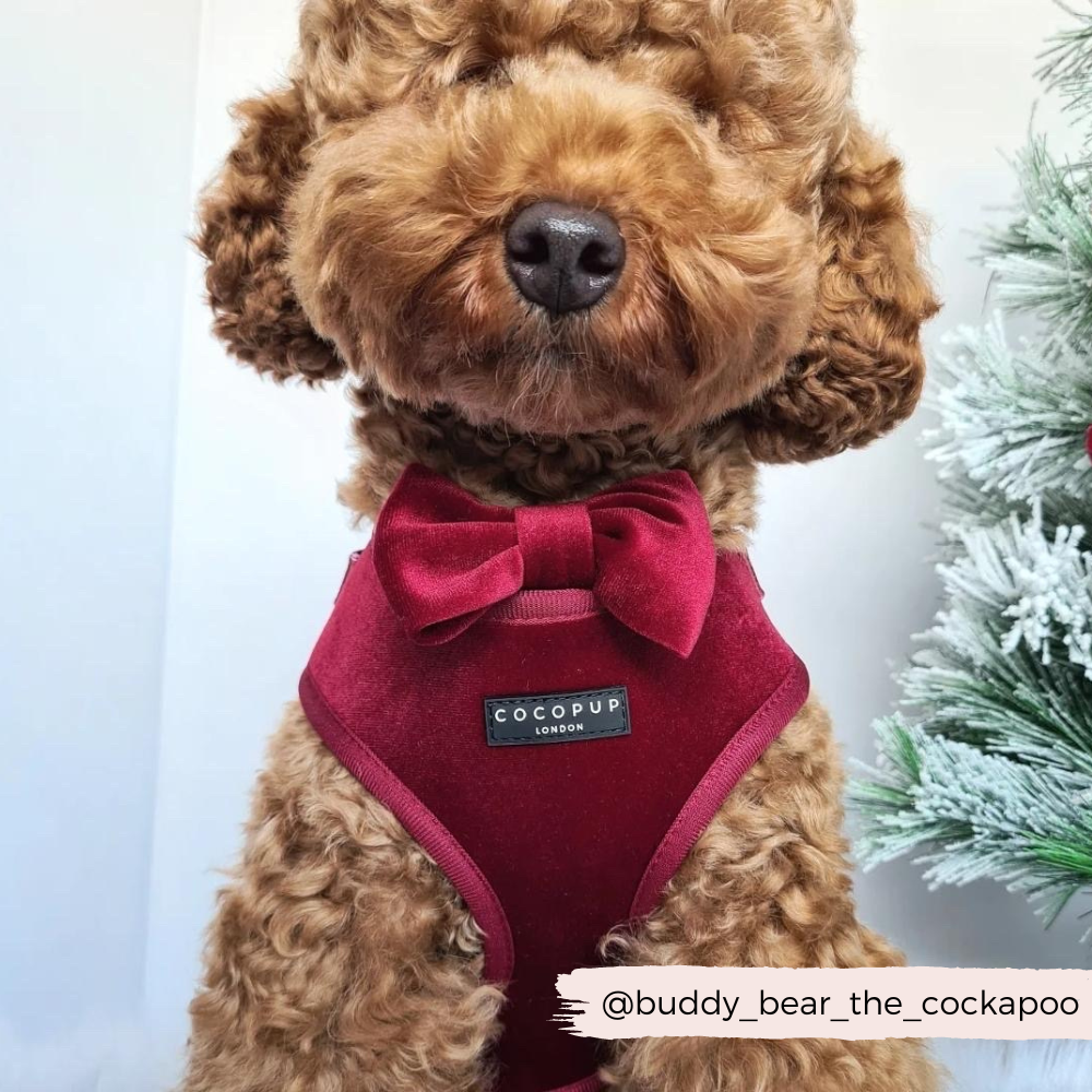 Luxe Velvet Bow Tie - Berry Red