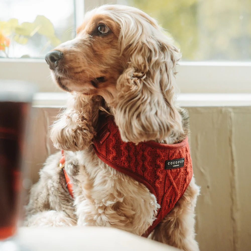 Cable Knit Adjustable Neck Harness - Mulled Pup Wine