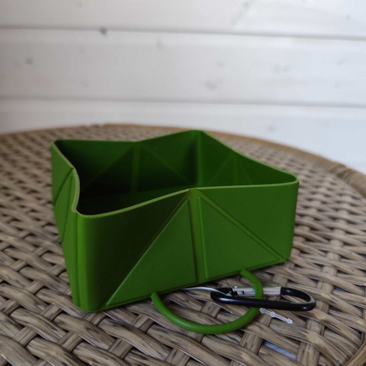 Foldable Travel Bowl