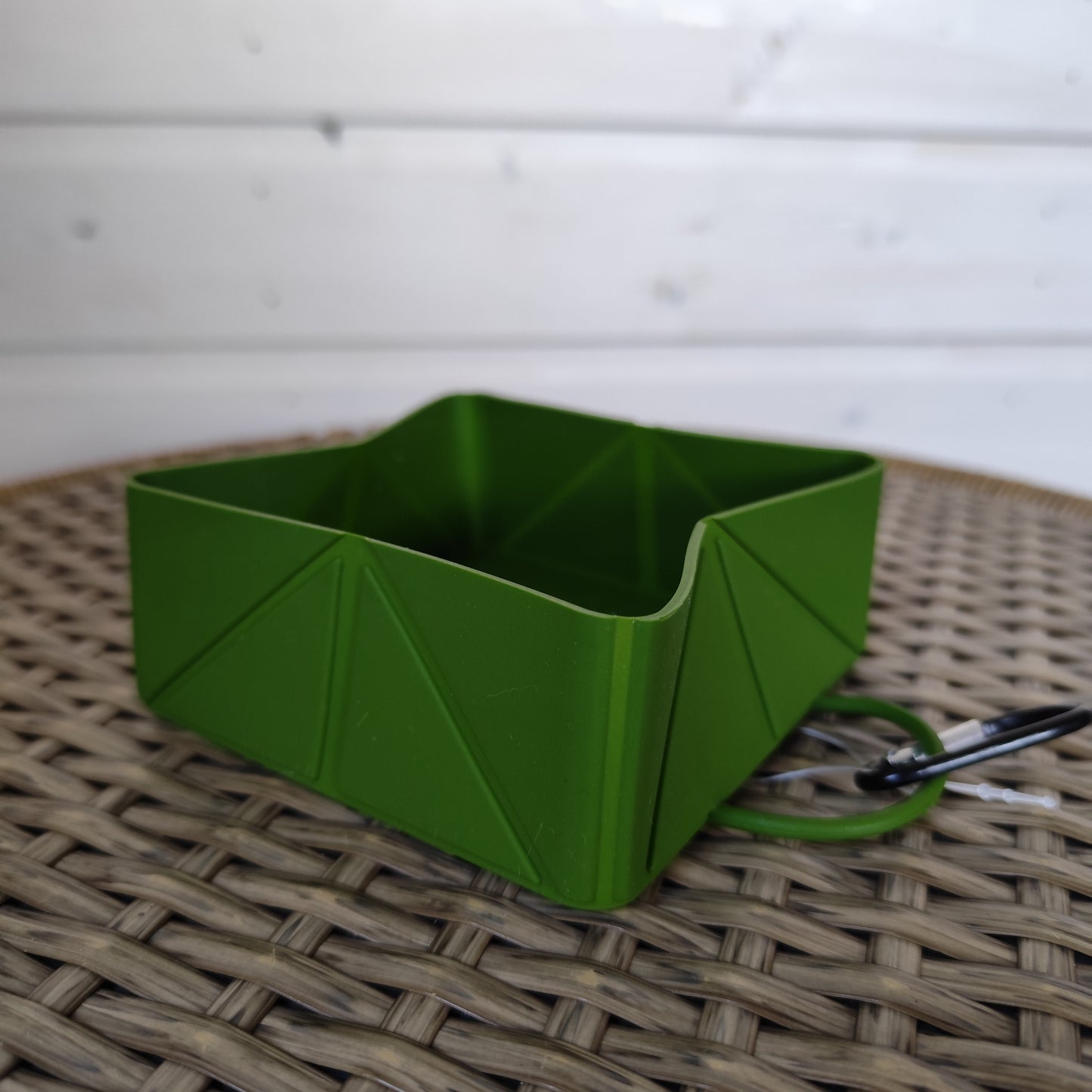 Foldable Travel Bowl